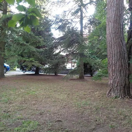 Lake House Green Garden * Balatonakarattya